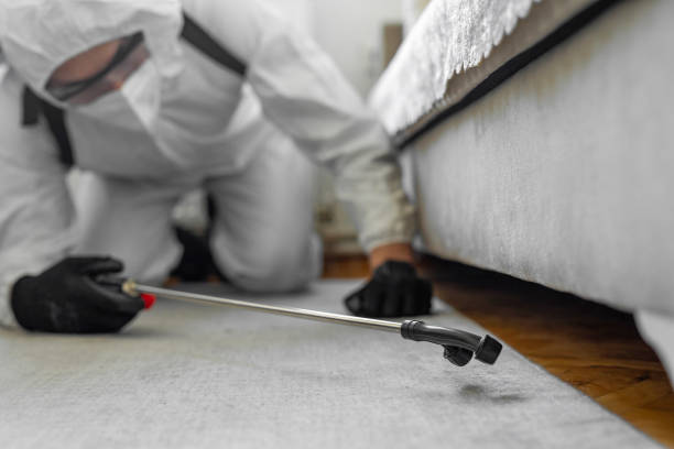 Professional Ant Control technician working in Champaign, IL