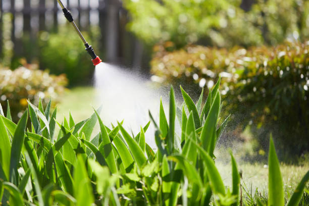 24/7 Emergency Wasp Removal experts in Champaign, IL