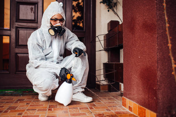 Reliable Wasp Removal contractor in Champaign, IL by Show Me Pest Control